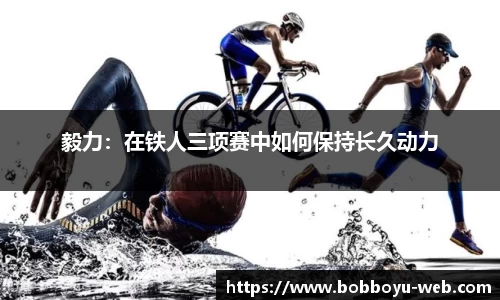 BOB博鱼app