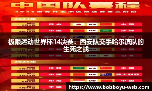BOB博鱼