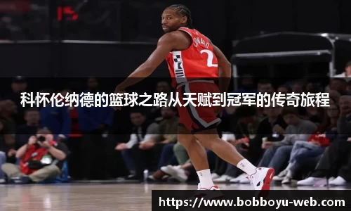 BOB博鱼